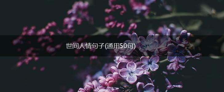 世间人情句子(通用50句),第1张
