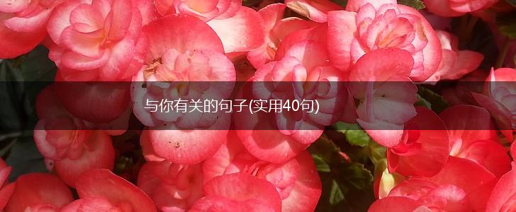 与你有关的句子(实用40句),第1张