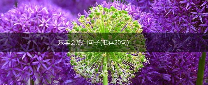 东奥会热门句子(推荐20句),第1张