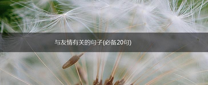 与友情有关的句子(必备20句),第1张