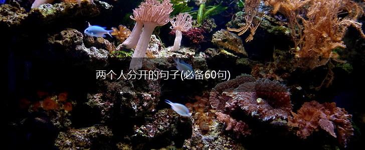 两个人分开的句子(必备60句),第1张