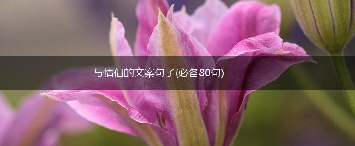 与情侣的文案句子(必备80句),第1张