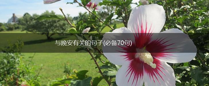 与晚安有关的句子(必备70句),第1张