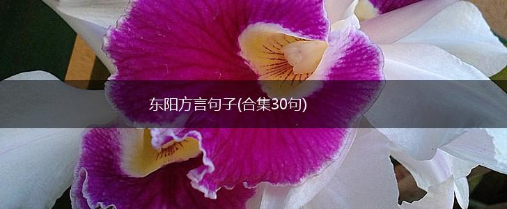 东阳方言句子(合集30句),第1张