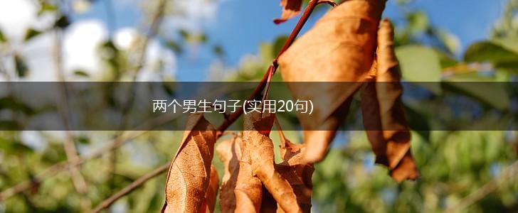 两个男生句子(实用20句),第1张