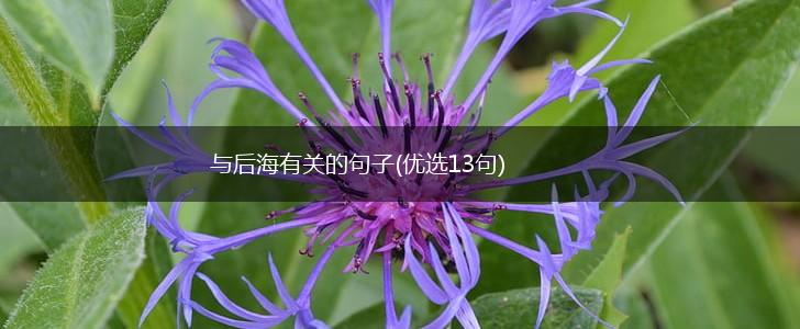 与后海有关的句子(优选13句),第1张