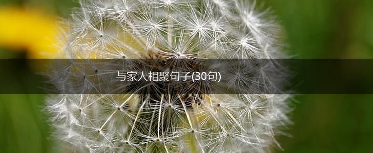 与家人相聚句子(30句),第1张