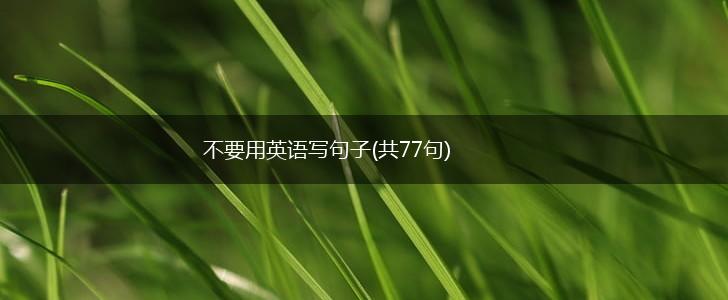不要用英语写句子(共77句),第1张