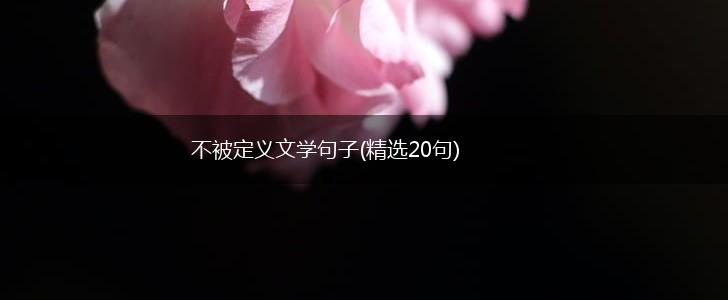 不被定义文学句子(精选20句),第1张