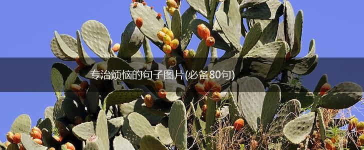 专治烦恼的句子图片(必备80句),第1张