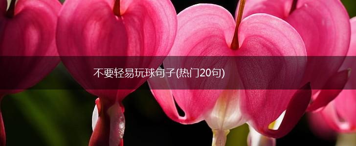不要轻易玩球句子(热门20句),第1张