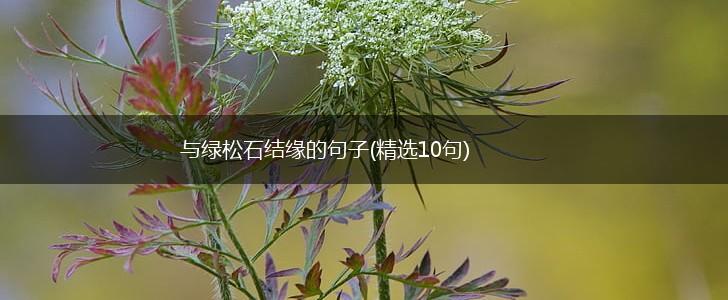 与绿松石结缘的句子(精选10句),第1张