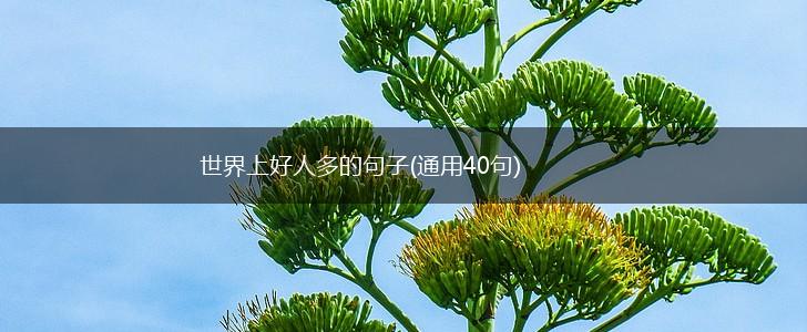 世界上好人多的句子(通用40句),第1张