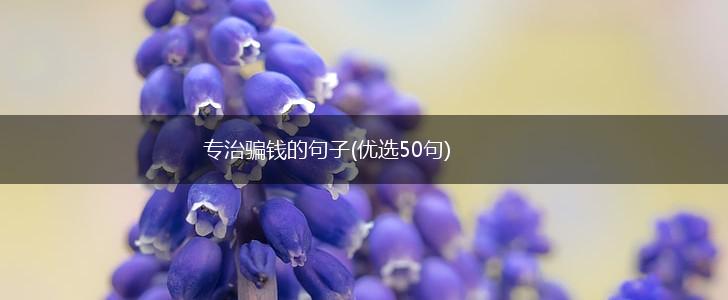 专治骗钱的句子(优选50句),第1张