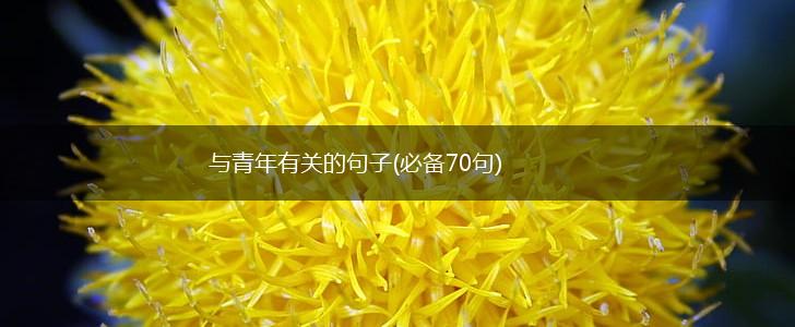 与青年有关的句子(必备70句),第1张