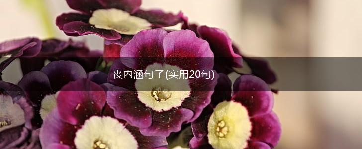 丧内涵句子(实用20句),第1张