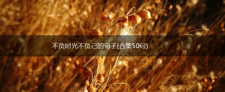 不负时光不负己的句子(合集50句),第1张