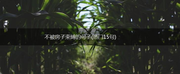 不被房子束缚的句子(热门15句),第1张