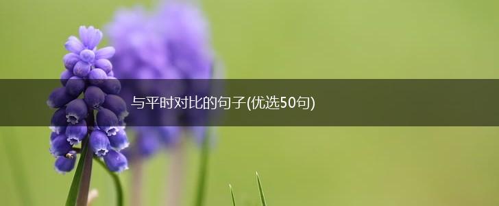 与平时对比的句子(优选50句),第1张