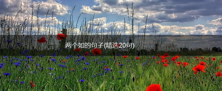 两个如的句子(精选20句),第1张