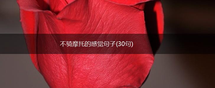 不骑摩托的感觉句子(30句),第1张