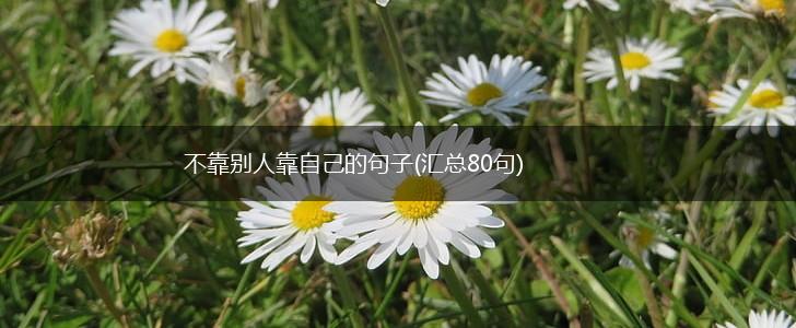 不靠别人靠自己的句子(汇总80句),第1张