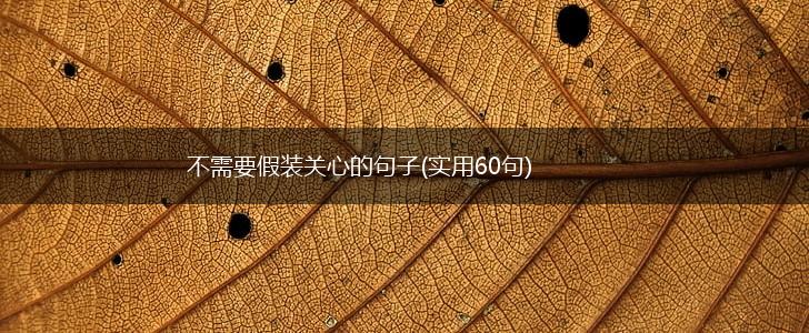不需要假装关心的句子(实用60句),第1张