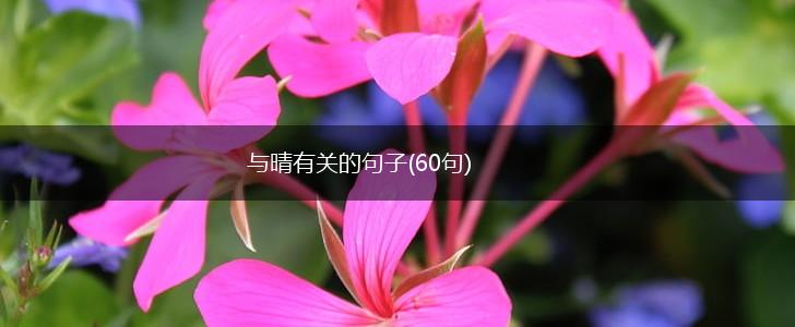 与晴有关的句子(60句),第1张
