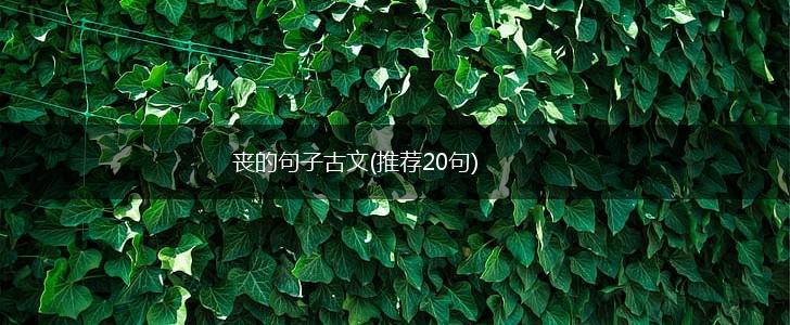 丧的句子古文(推荐20句),第1张