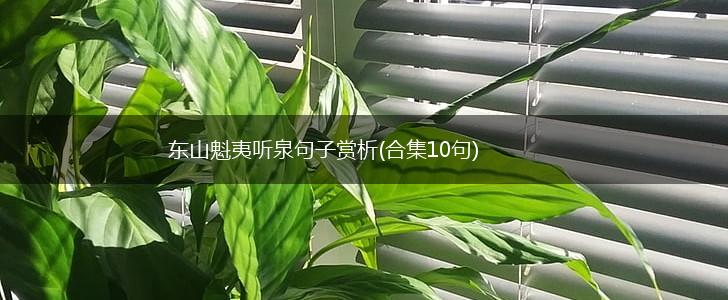 东山魁夷听泉句子赏析(合集10句),第1张
