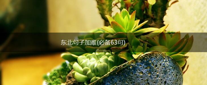 东北句子加难(必备63句),第1张