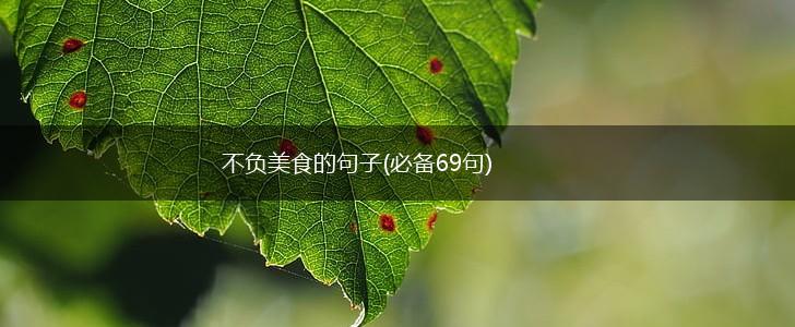 不负美食的句子(必备69句),第1张