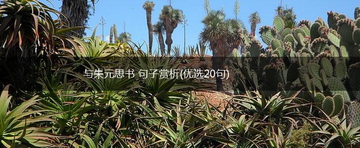 与朱元思书 句子赏析(优选20句),第1张