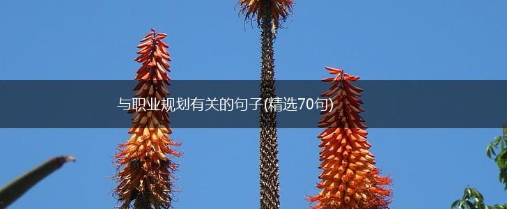 与职业规划有关的句子(精选70句),第1张