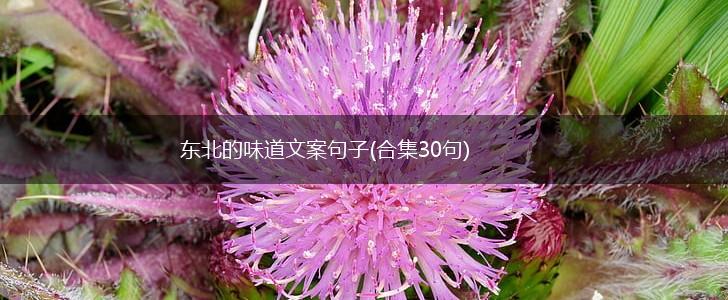 东北的味道文案句子(合集30句),第1张