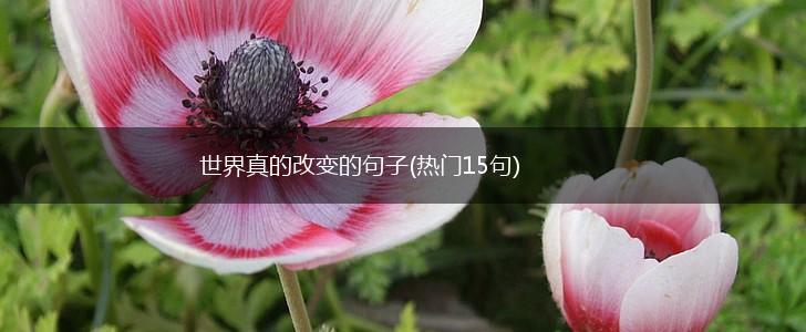 世界真的改变的句子(热门15句),第1张