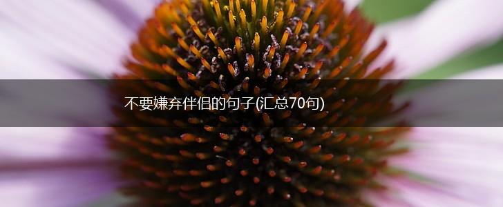 不要嫌弃伴侣的句子(汇总70句),第1张