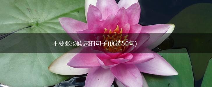 不要张扬跋扈的句子(优选50句),第1张