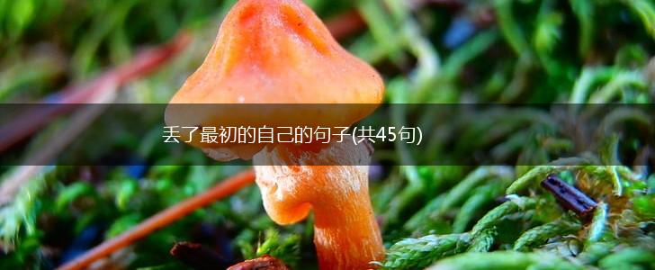 丢了最初的自己的句子(共45句),第1张