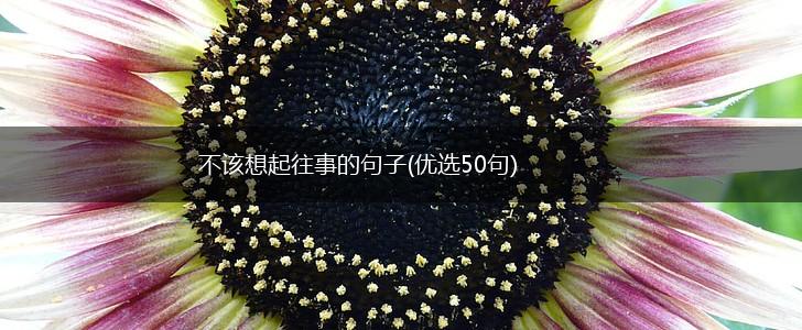 不该想起往事的句子(优选50句),第1张