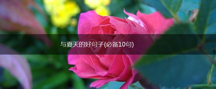 与夏天的好句子(必备10句),第1张