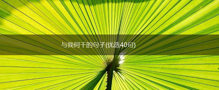 与我何干的句子(优选40句),第1张