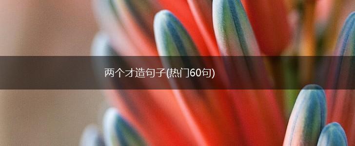 两个才造句子(热门60句),第1张