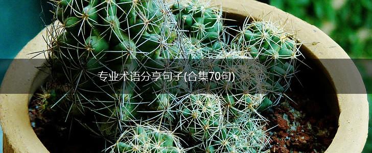 专业术语分享句子(合集70句),第1张