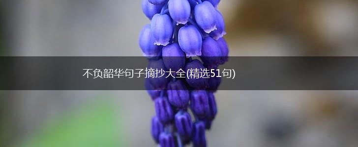 不负韶华句子摘抄大全(精选51句),第1张