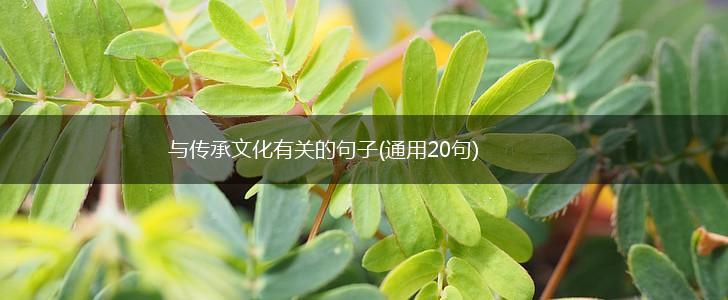 与传承文化有关的句子(通用20句),第1张