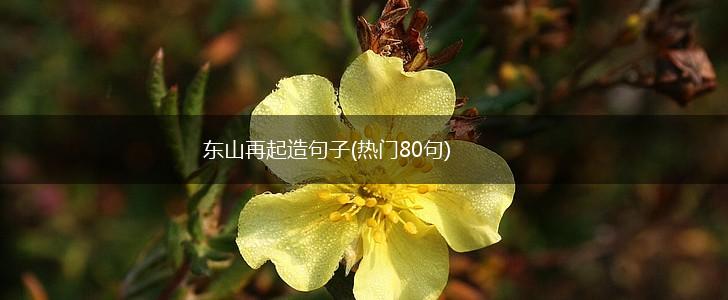 东山再起造句子(热门80句),第1张