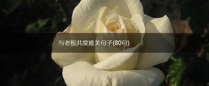 与老板共度难关句子(80句),第1张