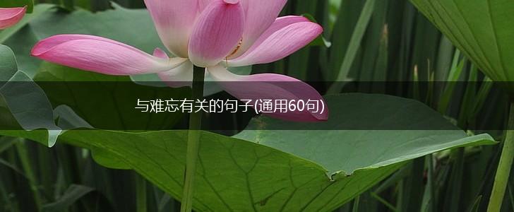 与难忘有关的句子(通用60句),第1张