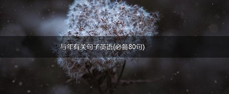 与年有关句子英语(必备80句),第1张